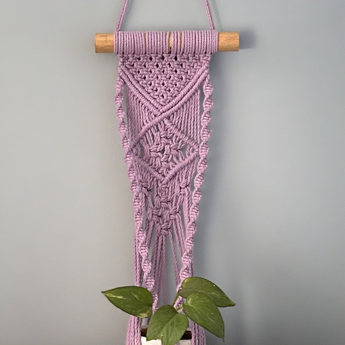 Set of 2 Boho Macrame Wall Hanging Plant Holders