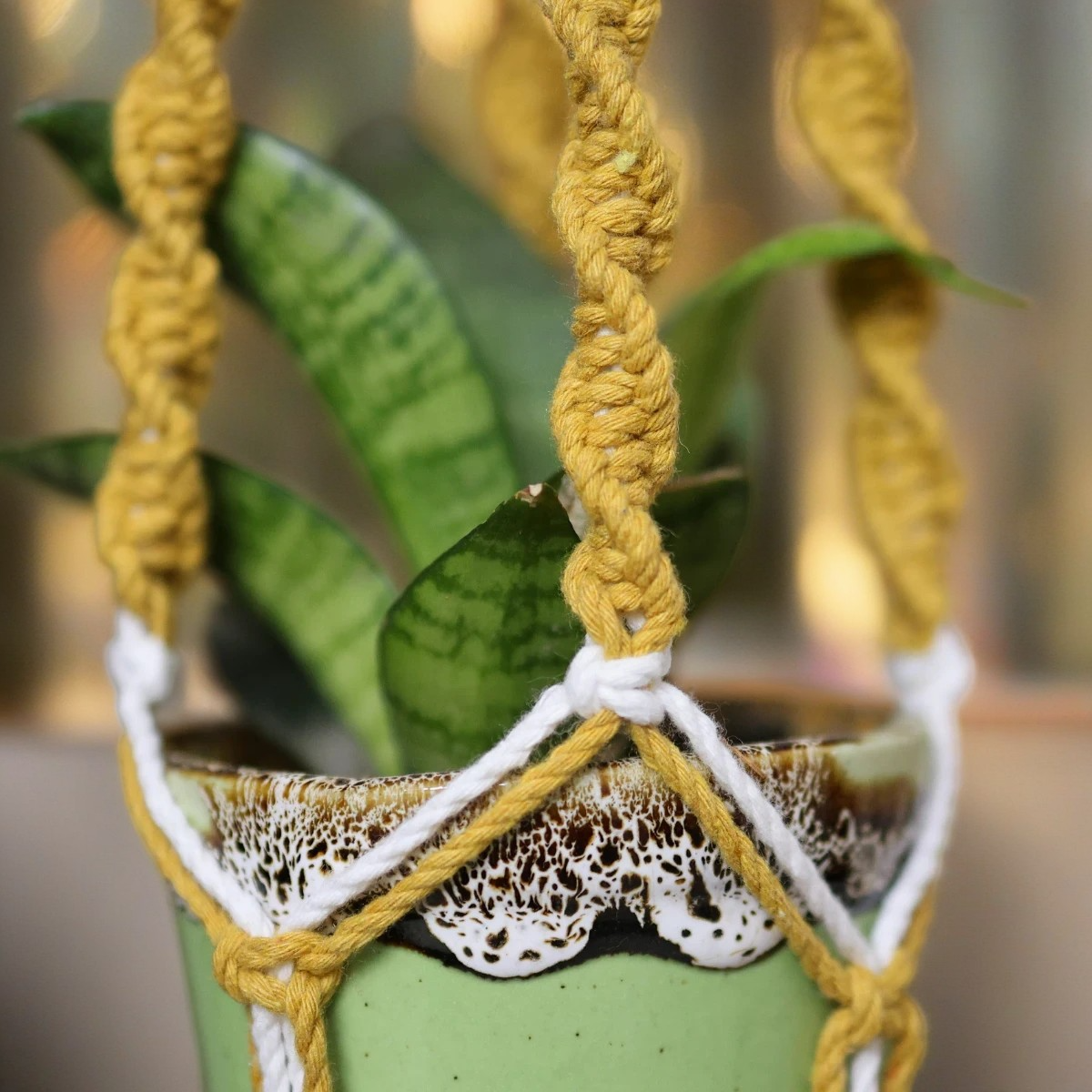 Handmade Two-Tone Macrame Plant Hanger